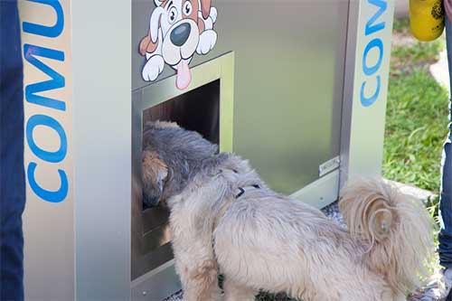 vandautomat hund